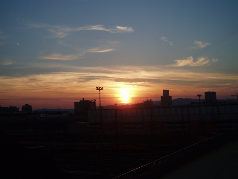 dieweltzugastbeimgrillen - 56